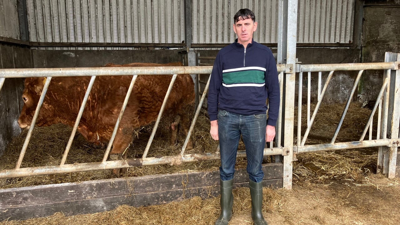 The farm of Martin and Caroline Shaughnessy in Co. Mayo is set to host the IGA 2024 beef event