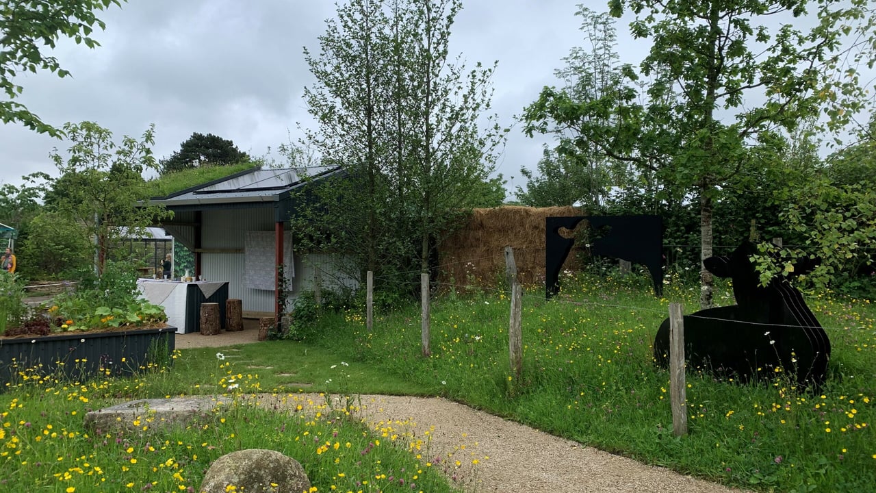 National Dairy Council garden at Bord Bia Bloom 2024