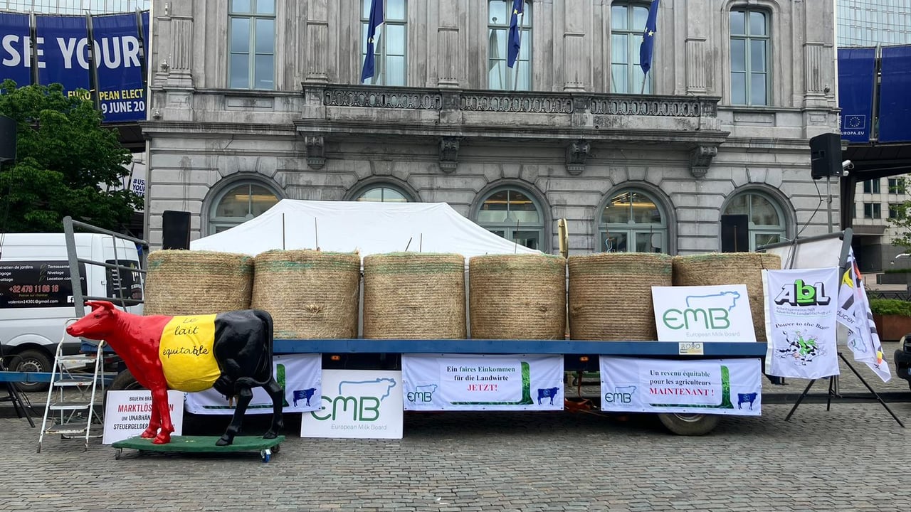 Watch: Irish dairy farmers take part in Brussels protest