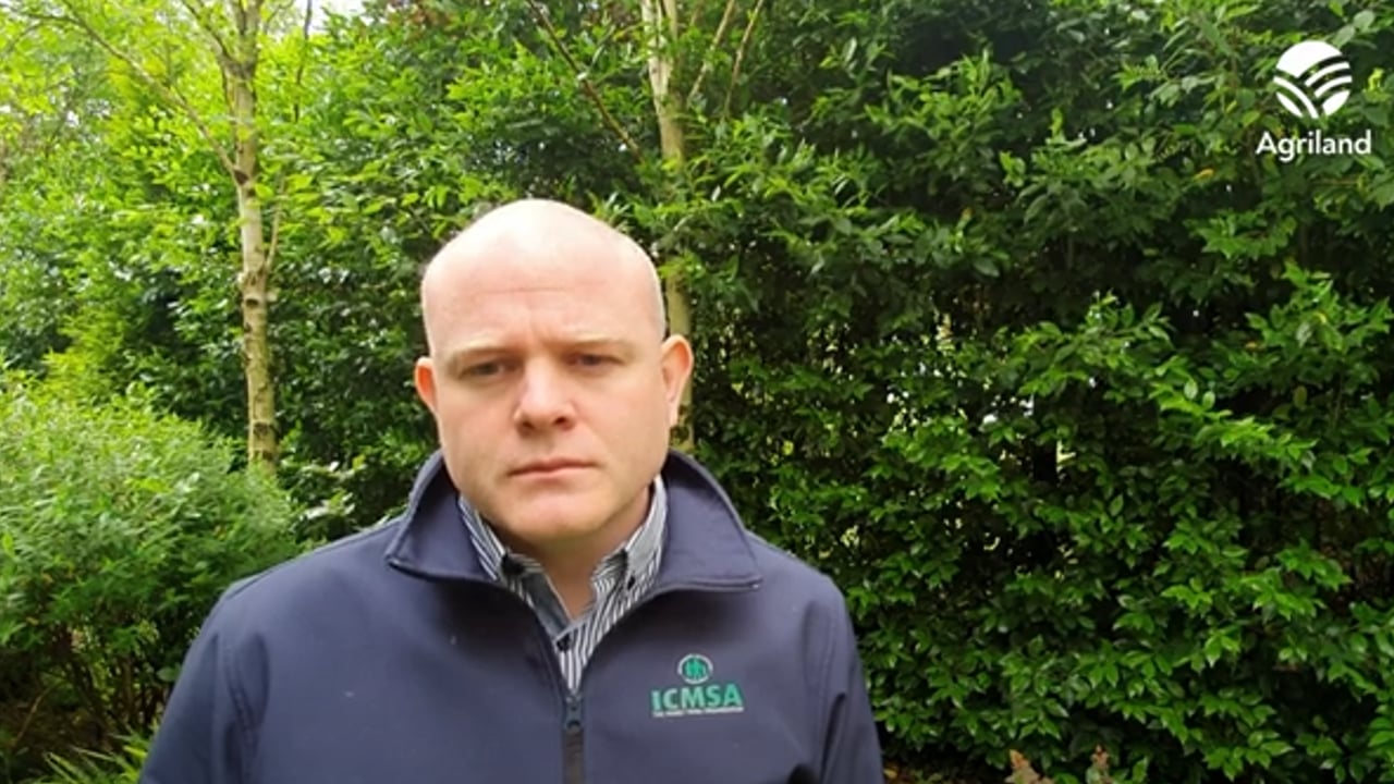 Watch: What does the future hold for dairy with milk yields down?
