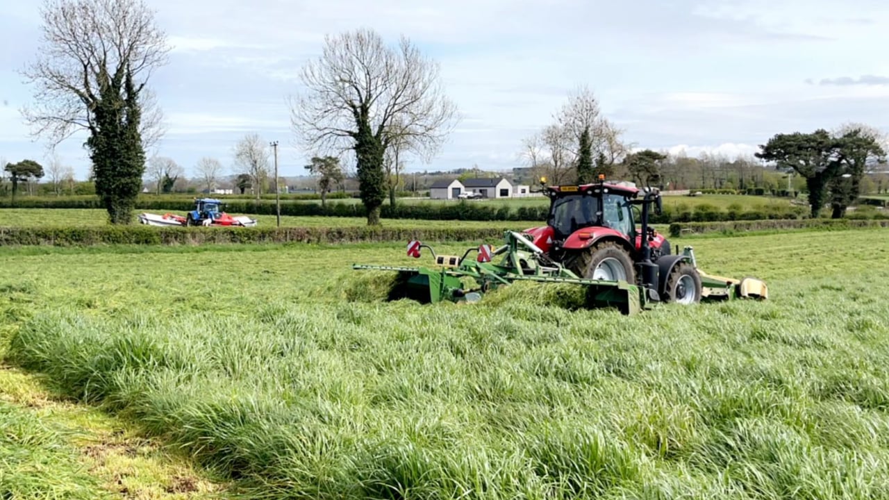 Russell Brothers: cutting grass in the South Co Antrim area
