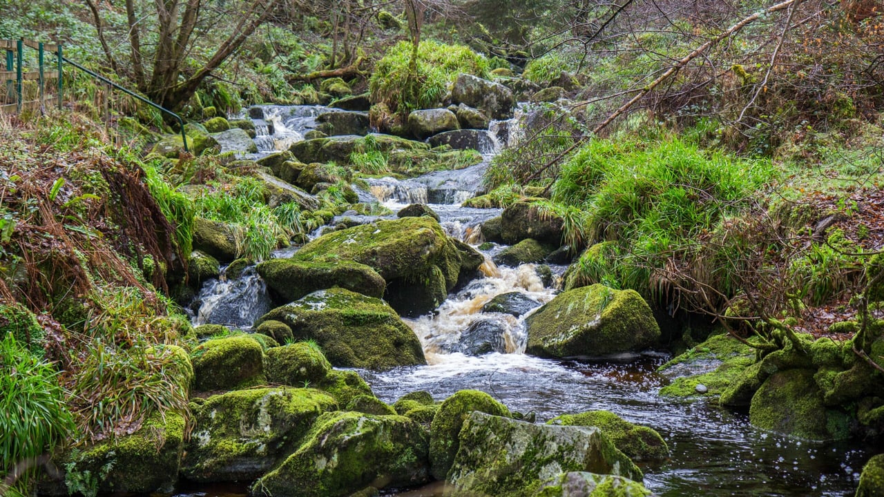 Nearly €21m allocated to cross-border water quality projects