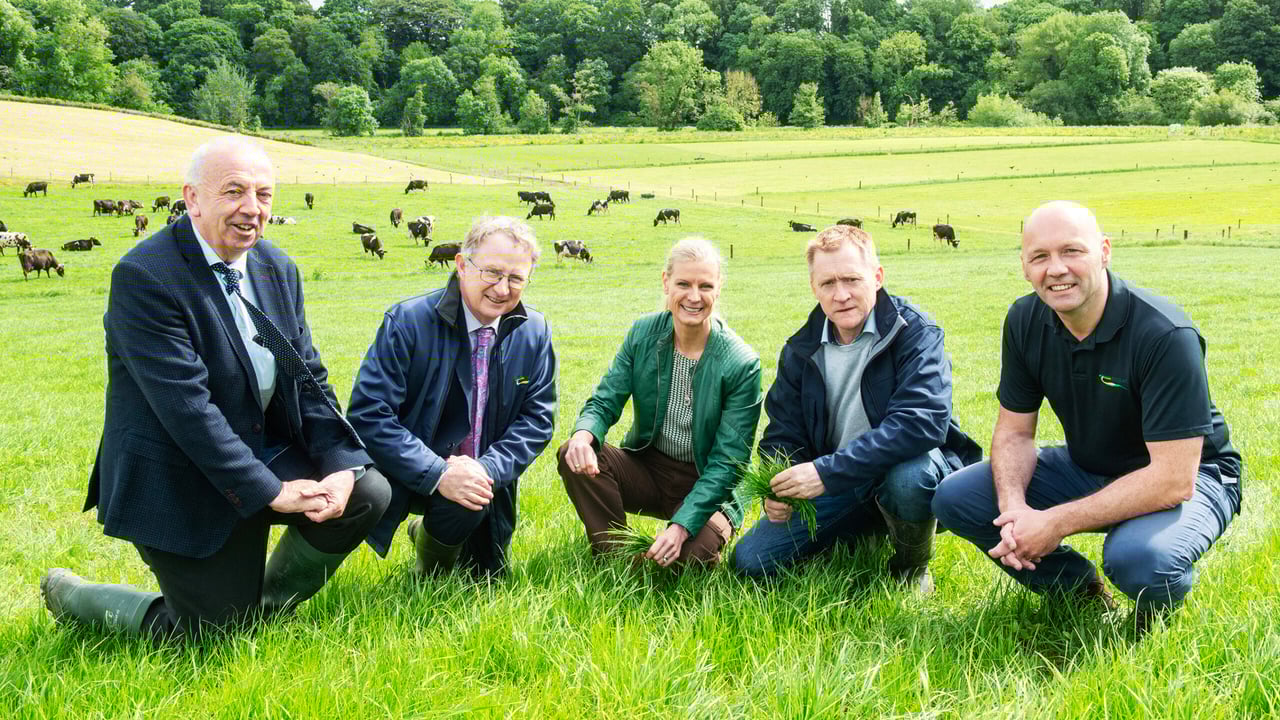 A focus on enhancing water quality by tree planting at Moorepark