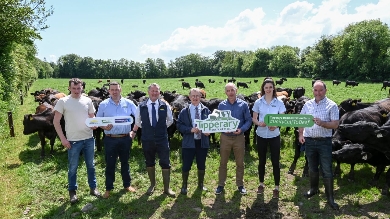 Pictured at the launch are L-R: Jack Spillane, farm manager; Mathew Murphy, Dawn Meats; Niall Browne, chief executive, Dawn Meats; Professor Frank O’Mara, Teagasc director; Donal Santry, chairman of Shinagh Estates; Chloe Millar, Teagasc Technician and Sean Deasy, vice chairman of Shinagh Estates.  