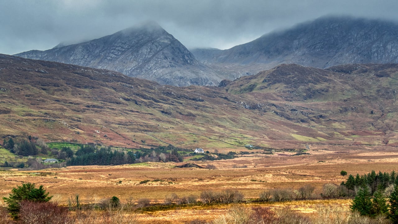 NPWS to remove deer fence in Connemara National Park