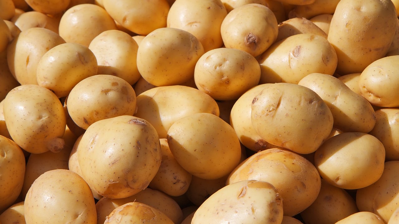 Met Éireann: Potato blight advisory currently in place