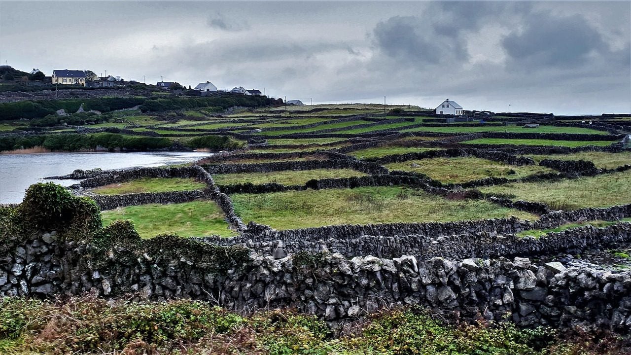 Rural communities at 'huge disadvantage' under Fine Gael - Gildernew