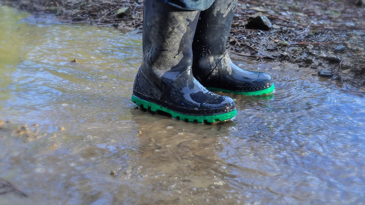 DAFM seeking tenders for young people farm safety projects