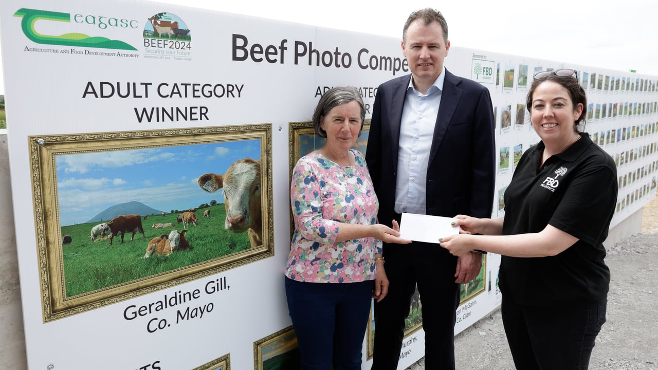 Top prizes announced for beef farming photography