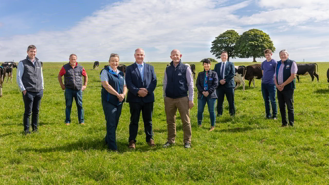 Bank of Ireland teams up with Cork co-ops for new farmer loan