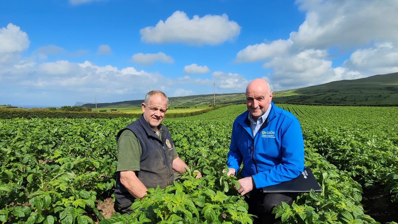 Potato grower Adrian Jamison and CAFRE's Robin Bolton. Image: CAFRE