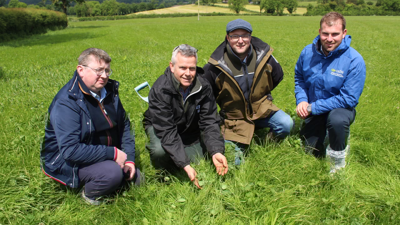 Attending the red clover farm walk in Co Tyrone, l to r: Jason Rankin, AgriSearch; Dr David Patterson, AFBI, David Clarke, host and Robert Patterson, CAFRE