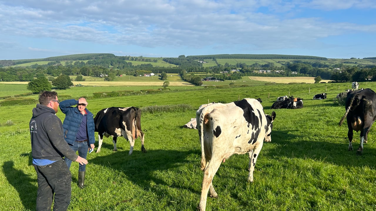 George Beattie (left) and Joe Healy (right) judging The Leisheen Herd 