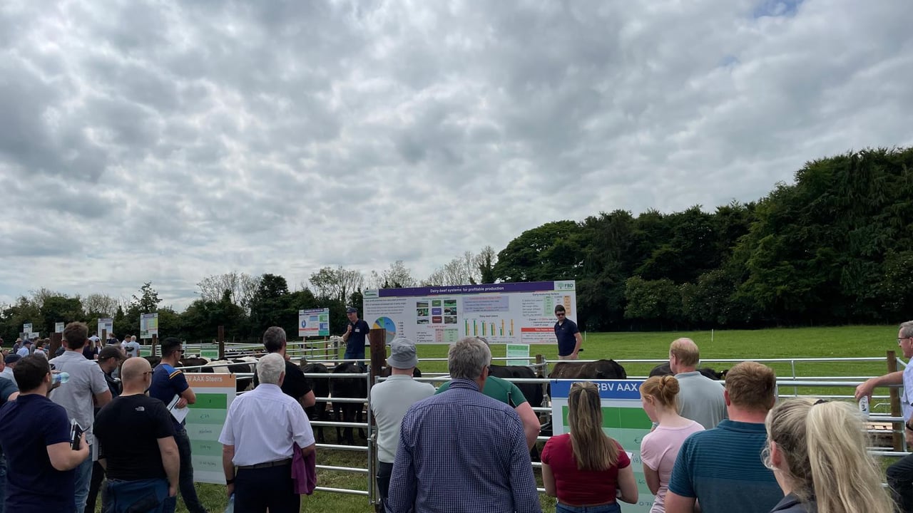 BEEF2024 at Teagasc Grange