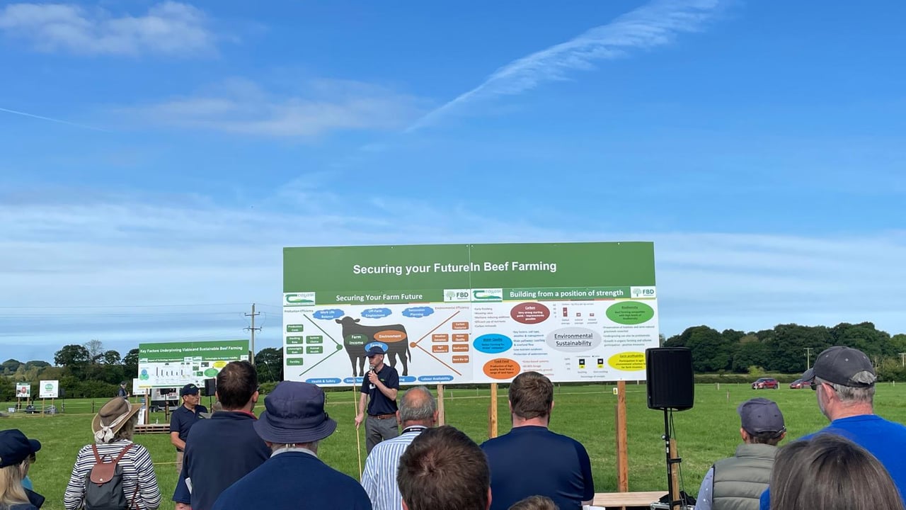 BEEF2024 at Grange