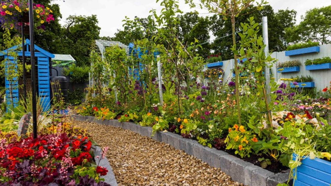 The garden, named ‘Back to the Future’, was designed by John Dooley Source: Bord Bia Bloom