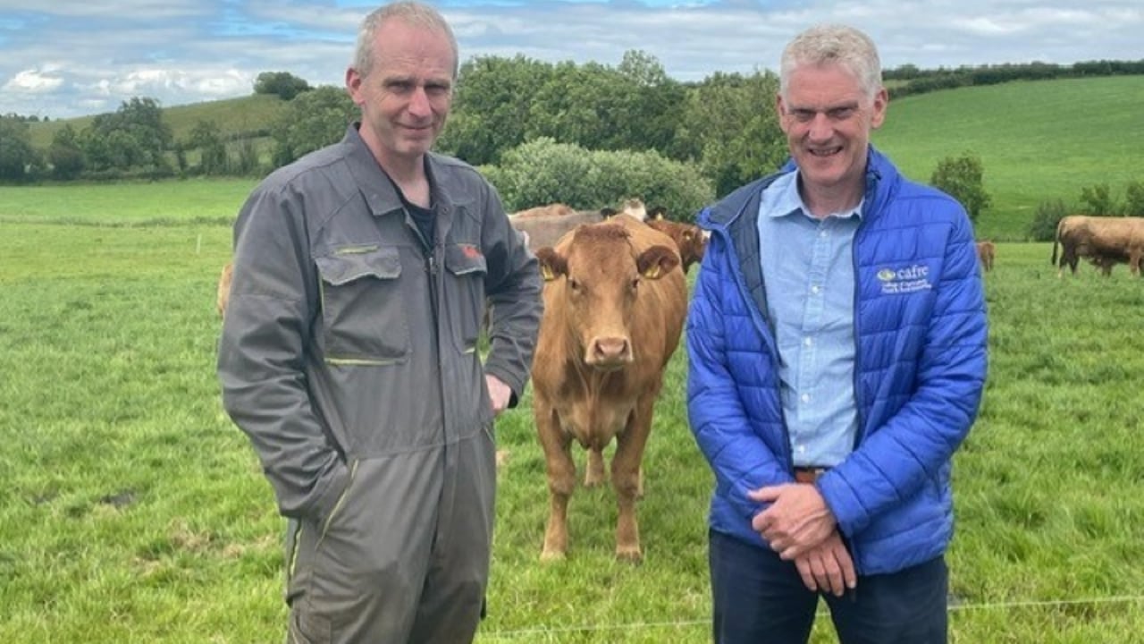 David Wright with CAFRE beef and sheep adviser Brian Hanthorn. Image: CAFRE