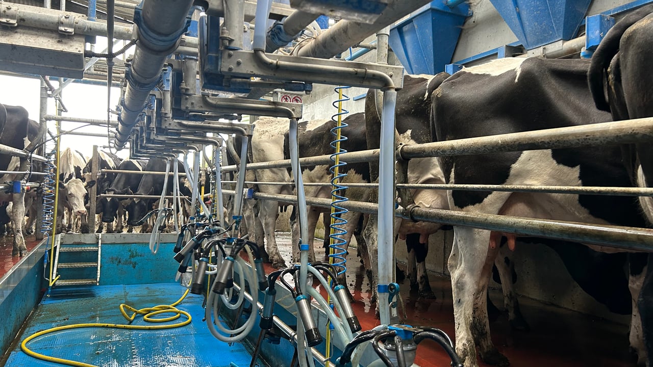 Ensuring quality milk as the housing period gets closer