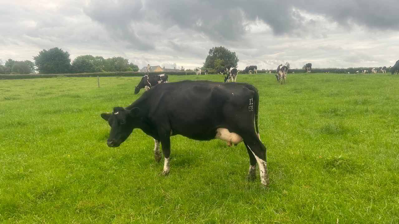 Grass growth rates see no improvement this week