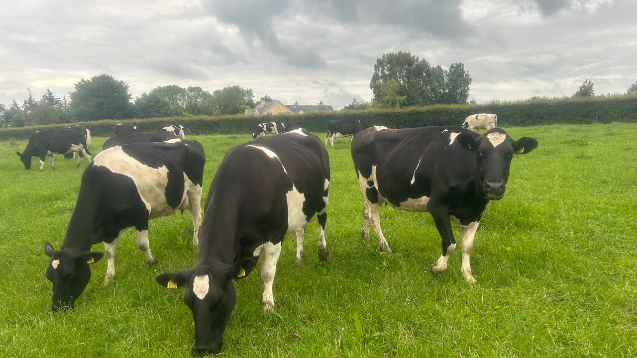 FFA endorses calls for 'fair farmgate prices' across Europe