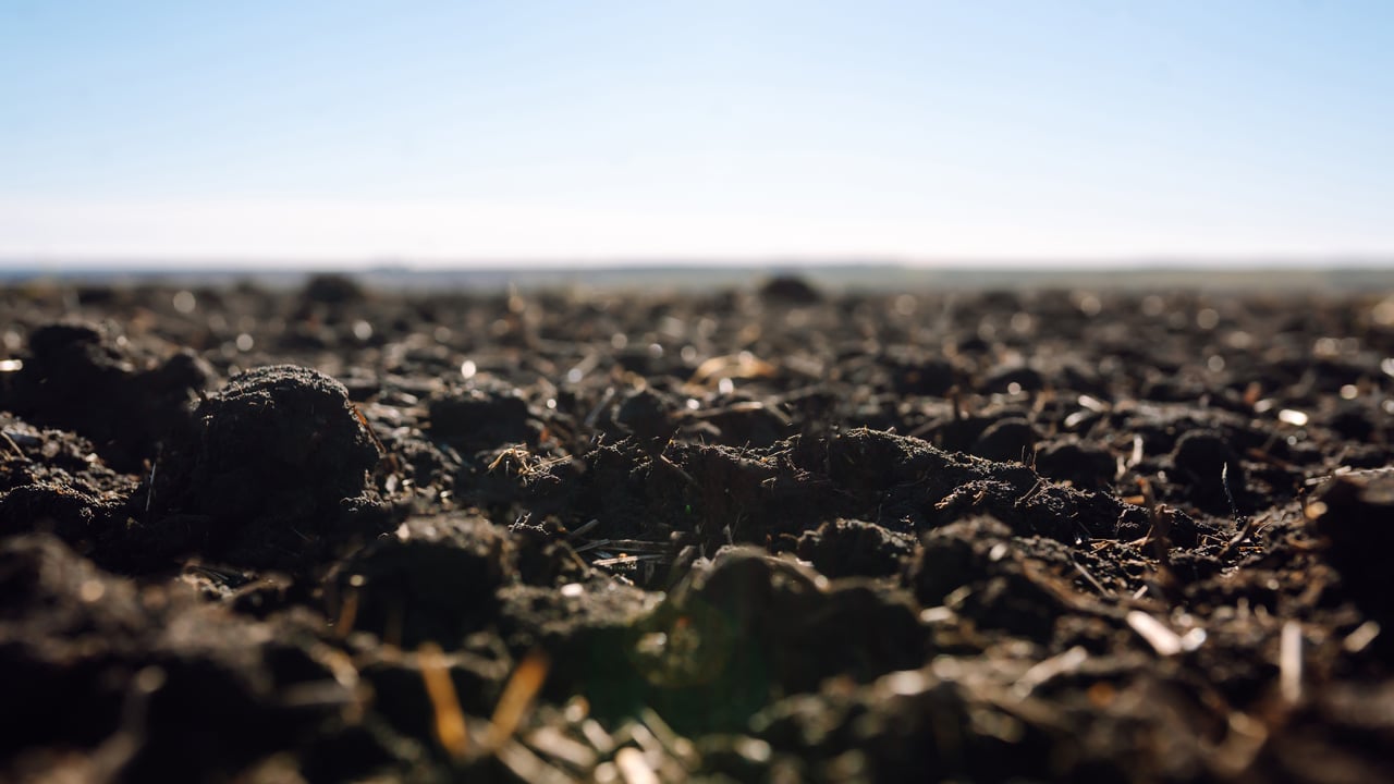 'Uncertainty' in Ireland's soil carbon sequestration approach