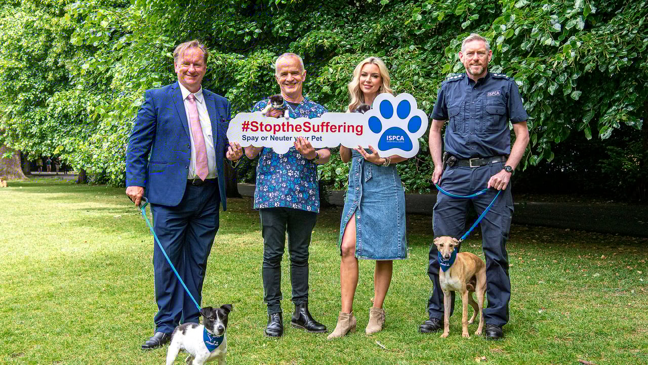 CEO of the ISPCA, Dr. Cyril Sullivan; trustee of the ISPCA and vet Pete Wedderburn; ISPCA Ambassador  Rosanna Davison, Conor Dowling

 
Source: Michael Chester 

