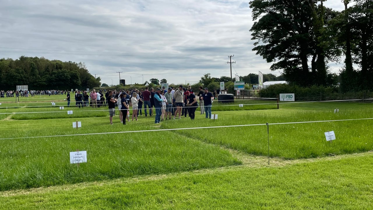 Attendees at BEEF2024 at Grange