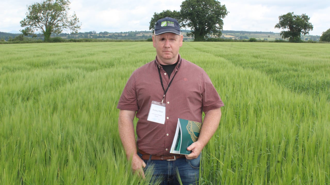 Irish Grain Growers' Group (IGGG) representative, Bobby Miller