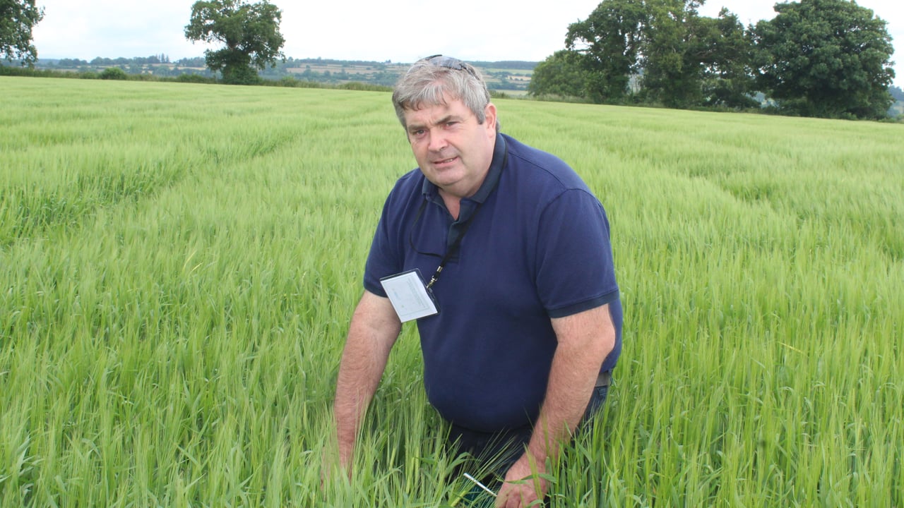 Full acceptance for SIM applicants 'positive' for tillage farmers