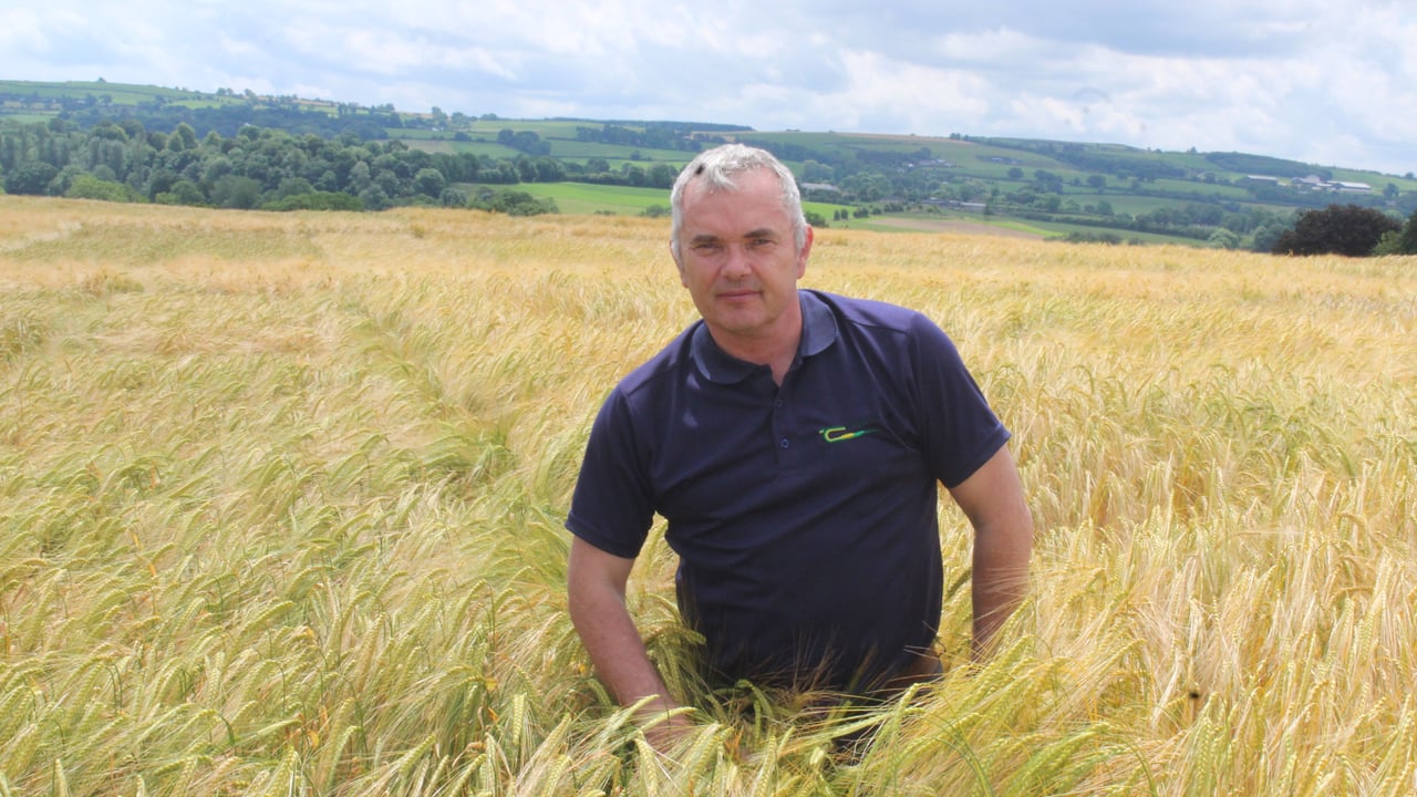 Expert urges farmers to check crops for blackgrass