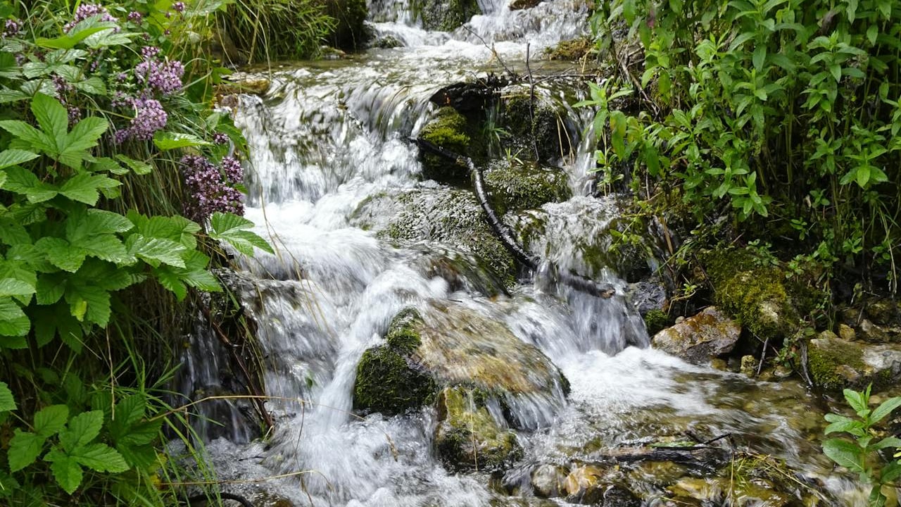 Funding initiative launched to 'improve water quality'