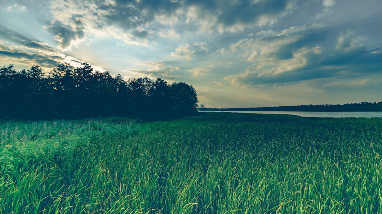 New research shows farmers want 'payment' for water quality measures