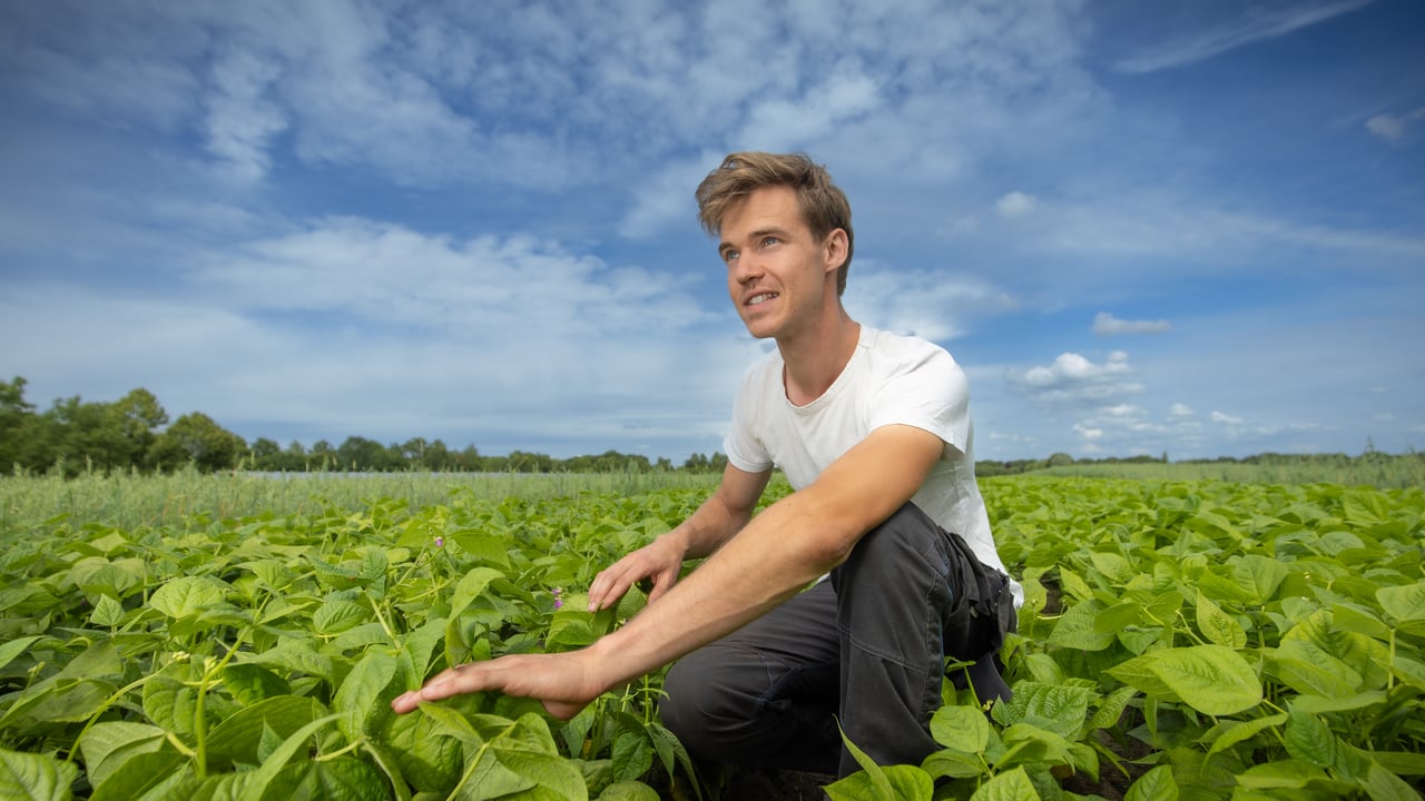 Dutch farmer growing crops and 30 types of vegetables on 7ha
