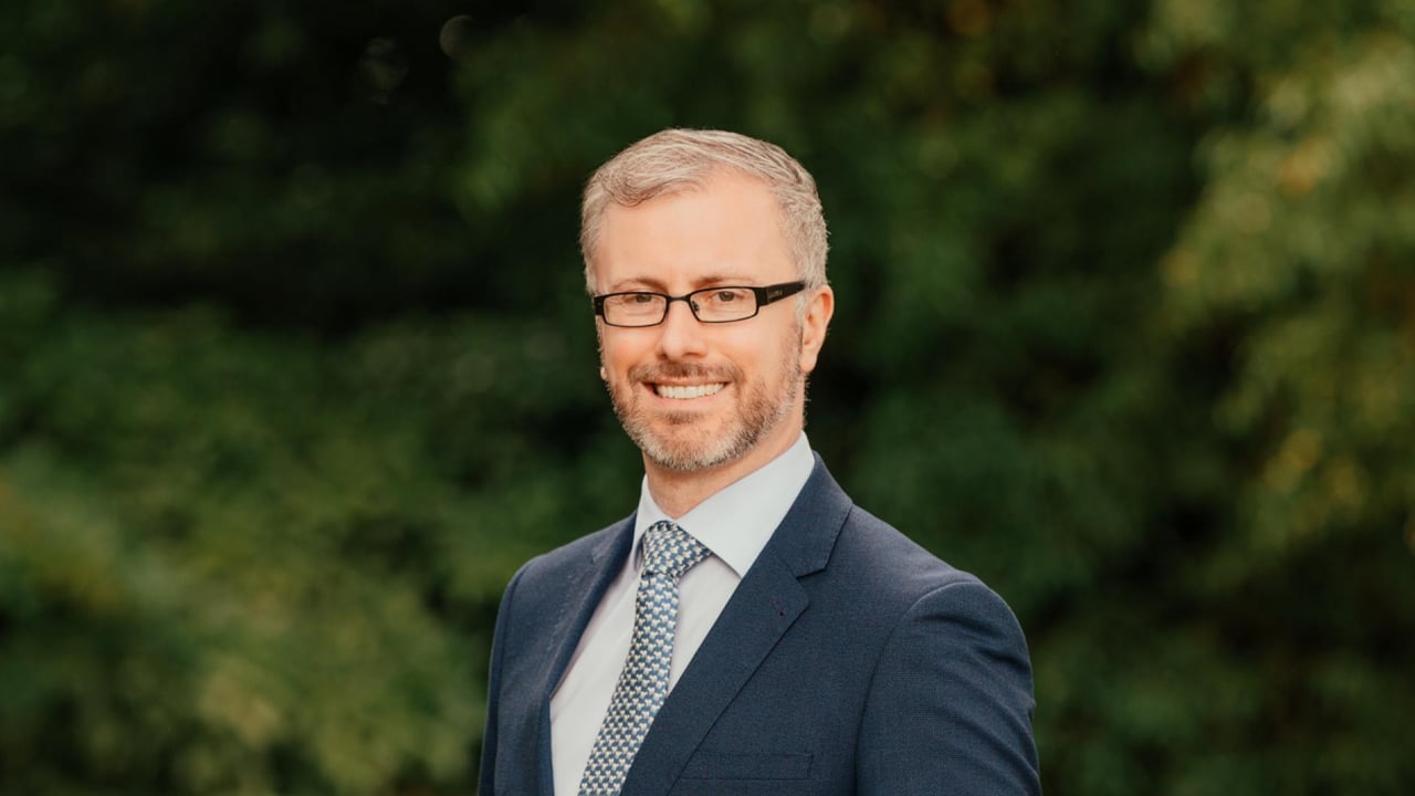 Roderic O'Gorman, Green Party leader