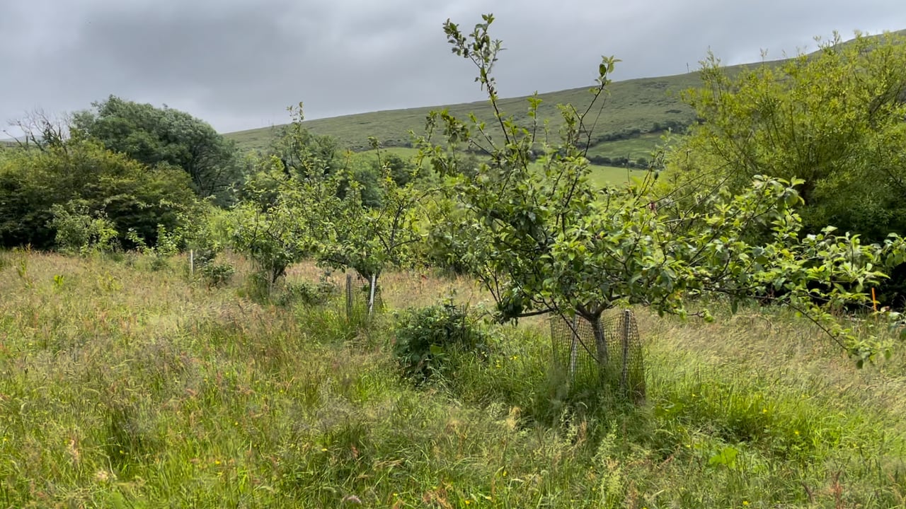 Spot inspections for organics 'does not paint the whole picture'