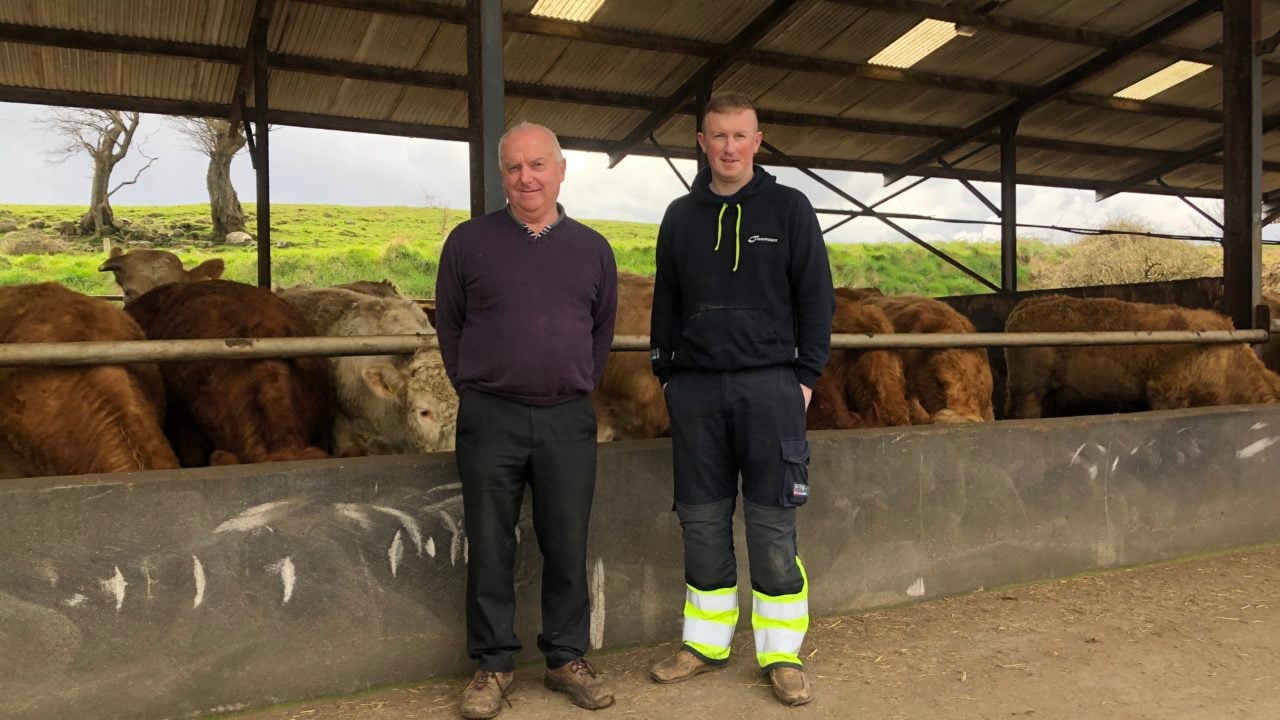 ABP Monitor Farms: More sucklers and a reseed in Sligo