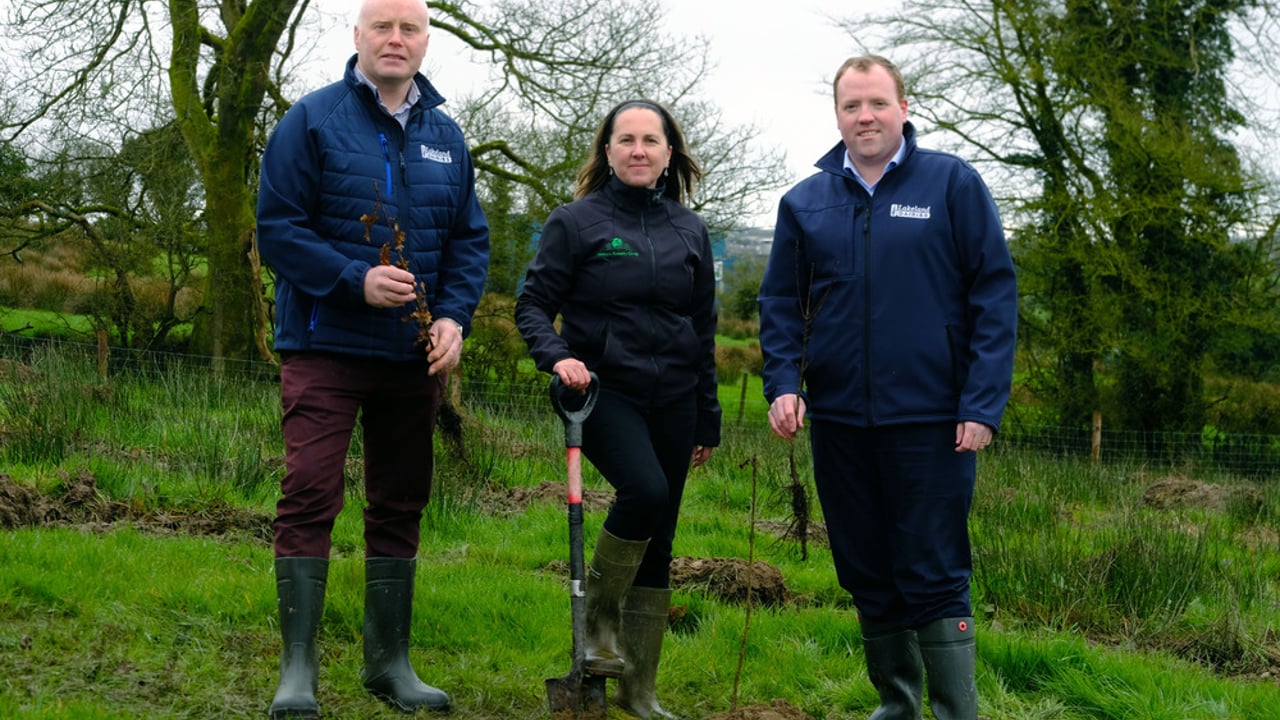 Lakeland Dairies to plant 5,000 native trees