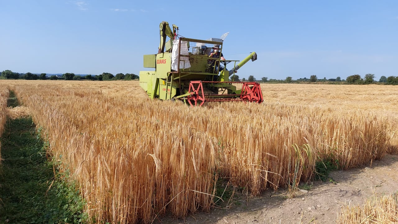 Tillage: Winter barley and winter oats harvest update
