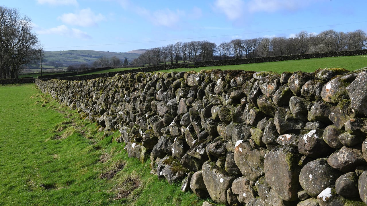 A dry stone wall at the CAFRE Hill Farm, Glenwherry Source: CAFRE