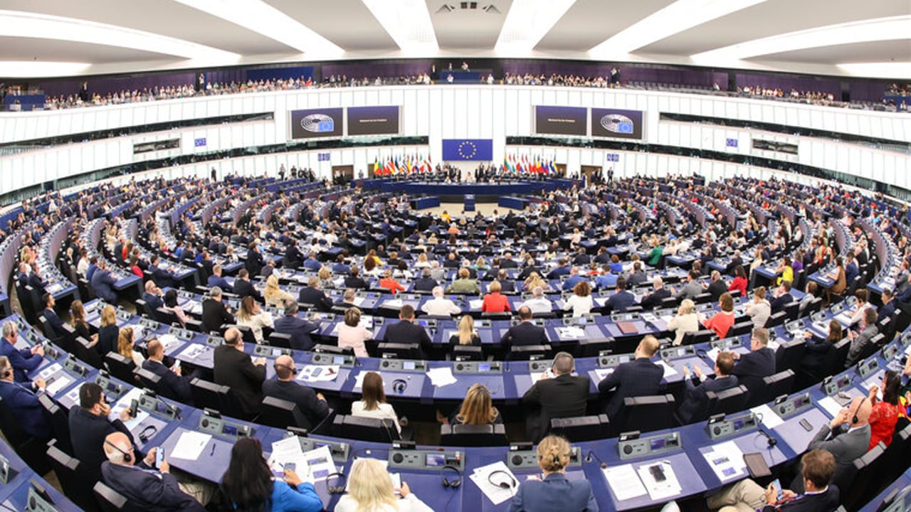 Gorman: Irish farmers must be represented at 'decision making stages' in Europe