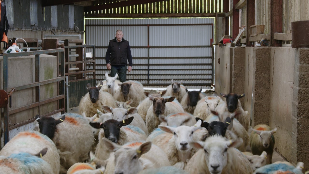 Flock Forwards, not Backwards Series: Avoiding needless wormer dosing
