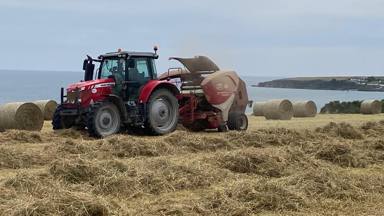 Short weather spell offers potential opportunity for hay