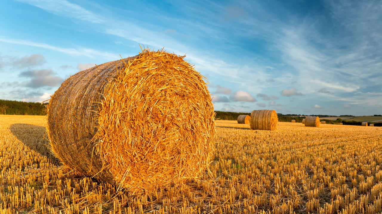 PDA: Dry season will impact on potash offtakes