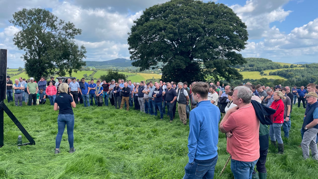 Reminder: Longford beef farm to host ABP event this week
