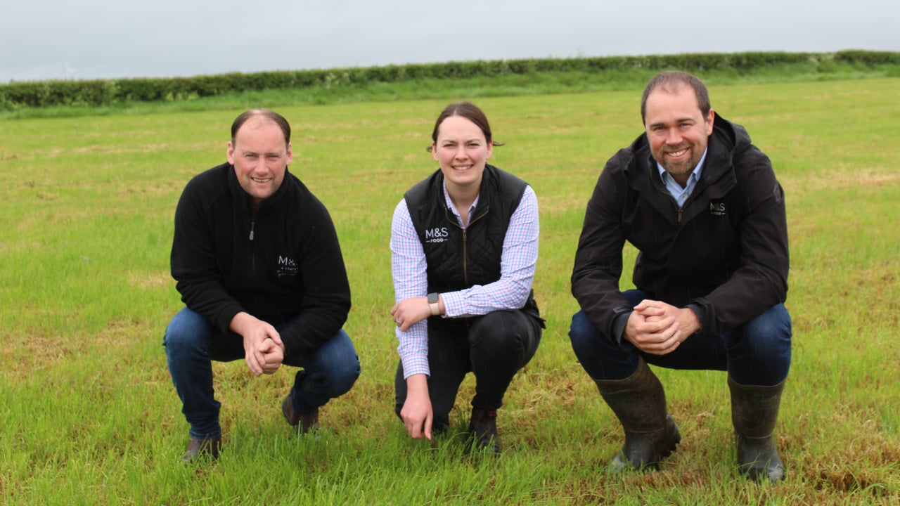 Out on farm (l-r): David Irwin, an M&S milk supplier
from Dervock in Co. Antrim; M&S agricultural manager, Olivia
Nicholson; M&S senior agricultural manager, Peter Kennedy