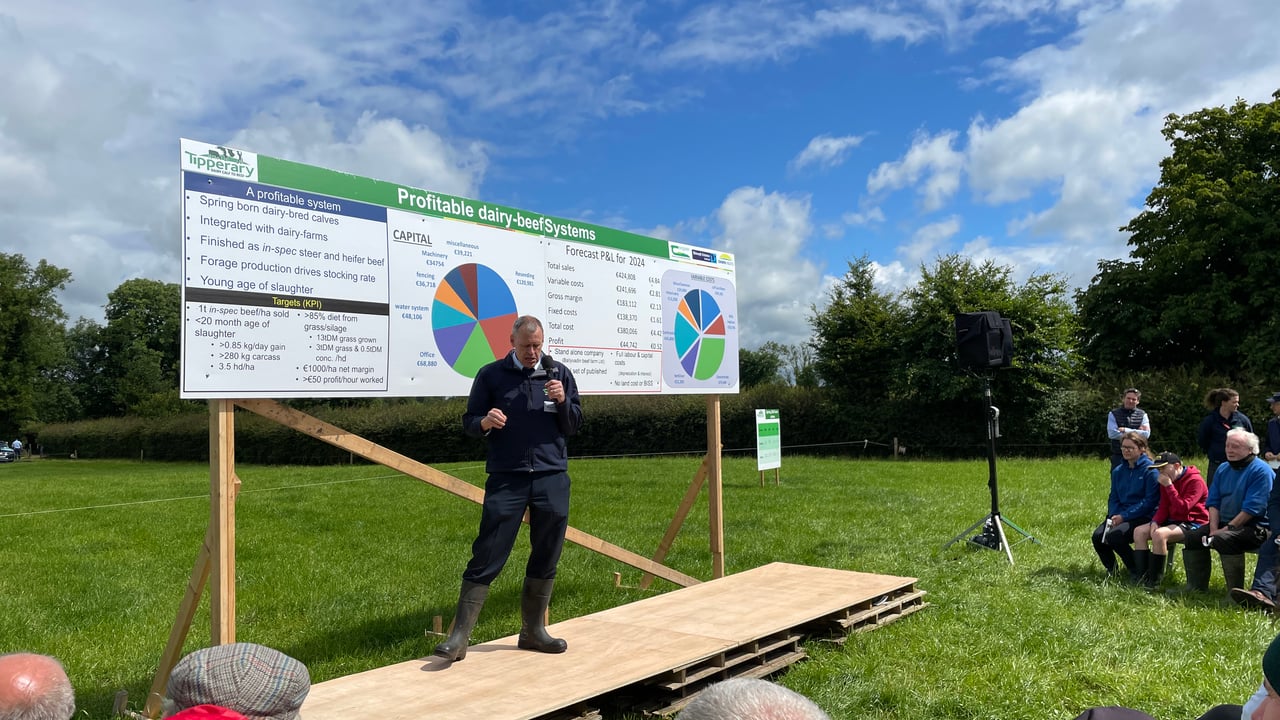 Farmers question Teagasc dairy-beef profitability targets