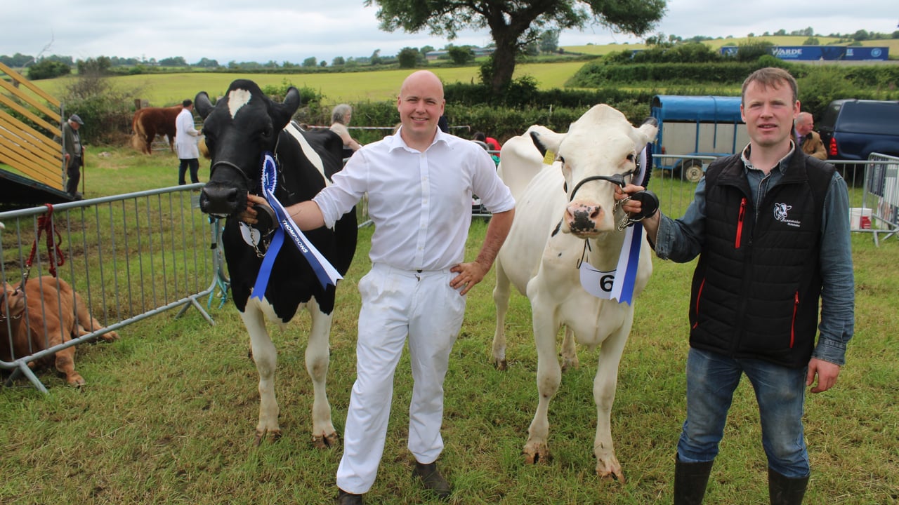 Robert (right) and Cameron Magowan, from Hilltown in Co. Down, with the Holstein champion and reserve at Newry Show 2024