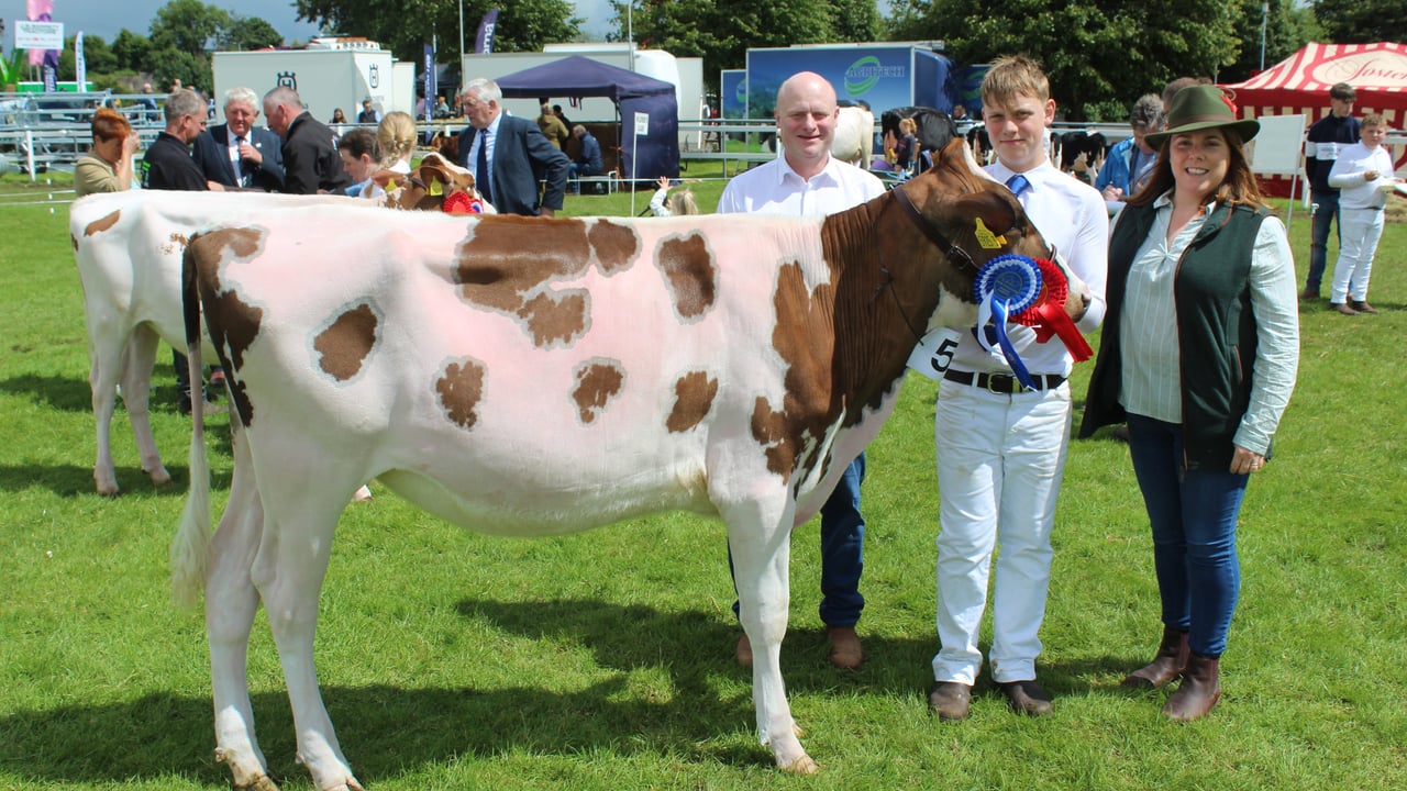 An eye-catching red and white Holstein heifer, exhibited at Omagh Show 2024 by Noel (left), Daniel and Helen Willis, from Derryane in Co. Armagh 