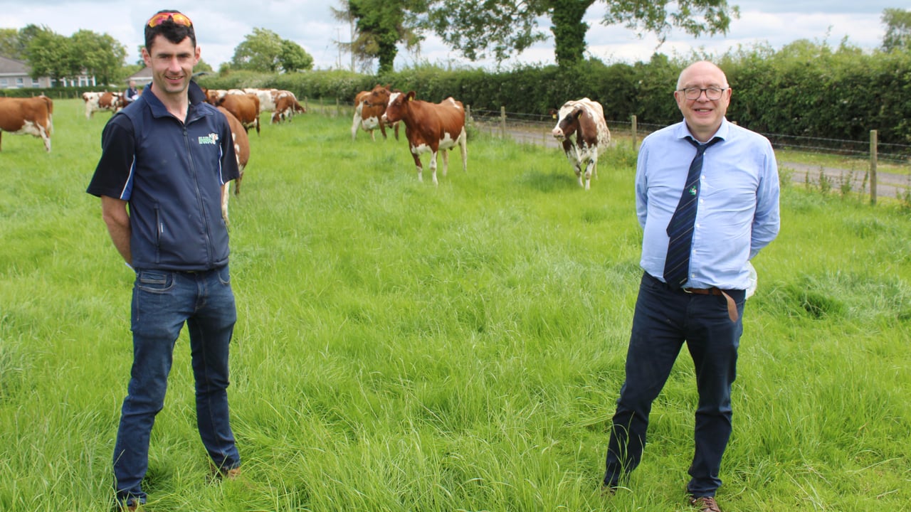 Stephen O'Keeffe (left), farm manager at Crinagree Dairies, Kilmallock, Co Limerick and David Williams, from Fenit, Tralee. Co Kerry visited the Ravenhill Ayrshire herd in Co Antrim earlier this week 