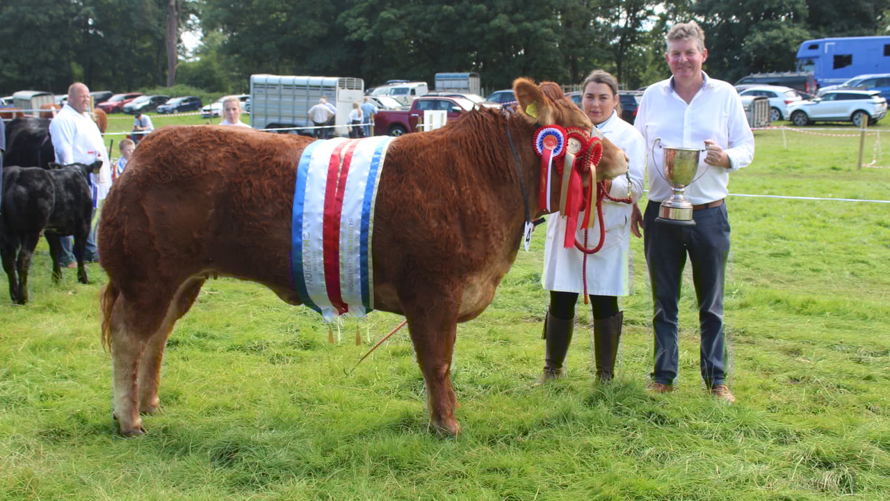 Trevor Shields with his prize-winning Limousin heifer: Glenmarshal The Duchess.
Shauna Killen is on the halter 